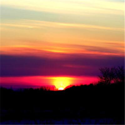 im电竞官方网站手机app下载