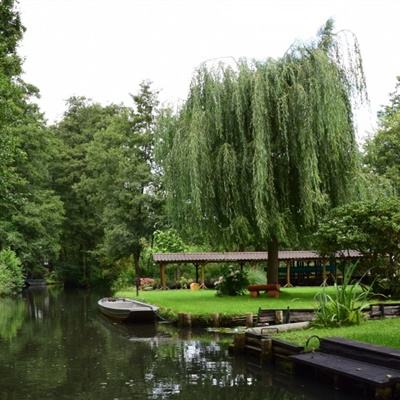 好彩网手机app下载