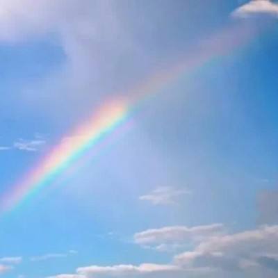 ob体育最新官网