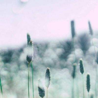 PG电子游戏官网入口