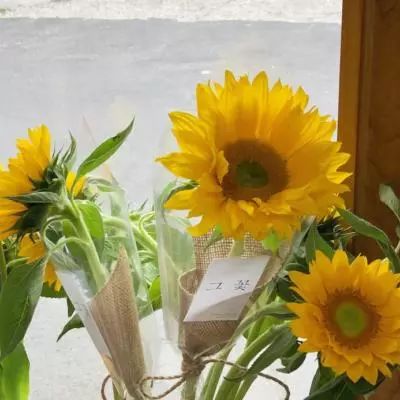 开玩棋牌下载手机版